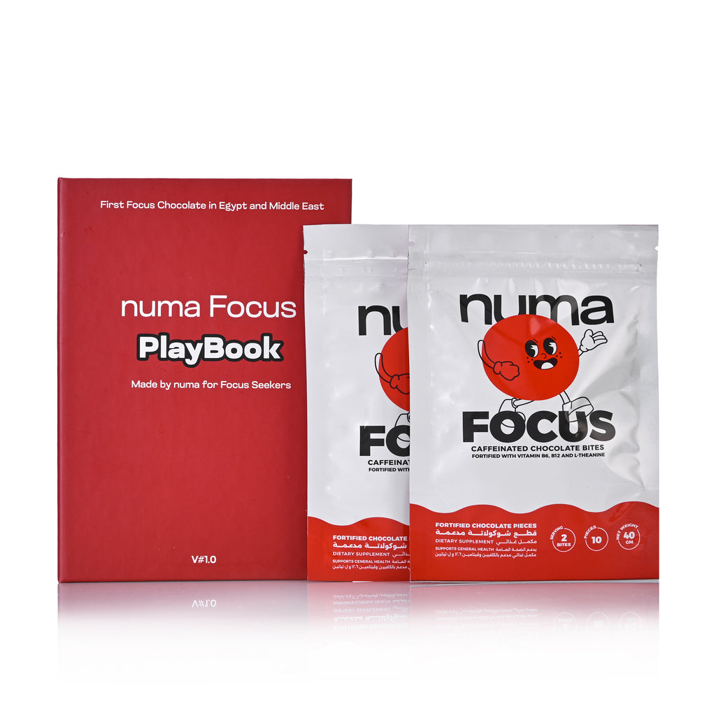 Bundle 2 numa Focus