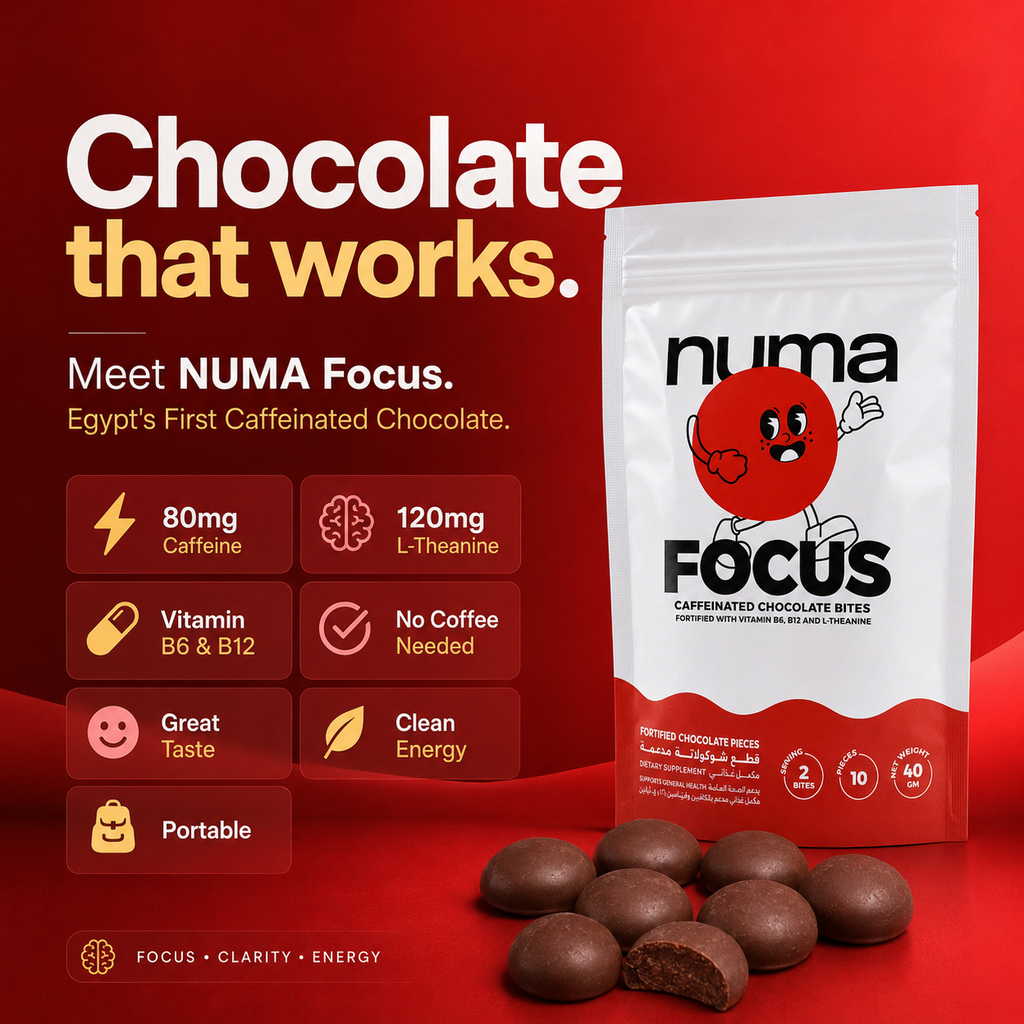 Bundle 5 numa Focus